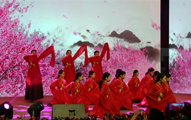 中国舞：《袖色》